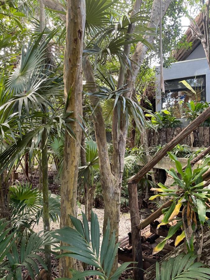 Roc Jungle Tulum酒店 外观 照片